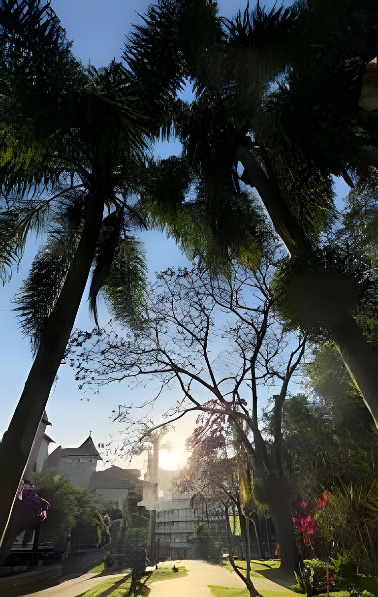 Casa das Bromélias-Com quiosque em meio à natureza